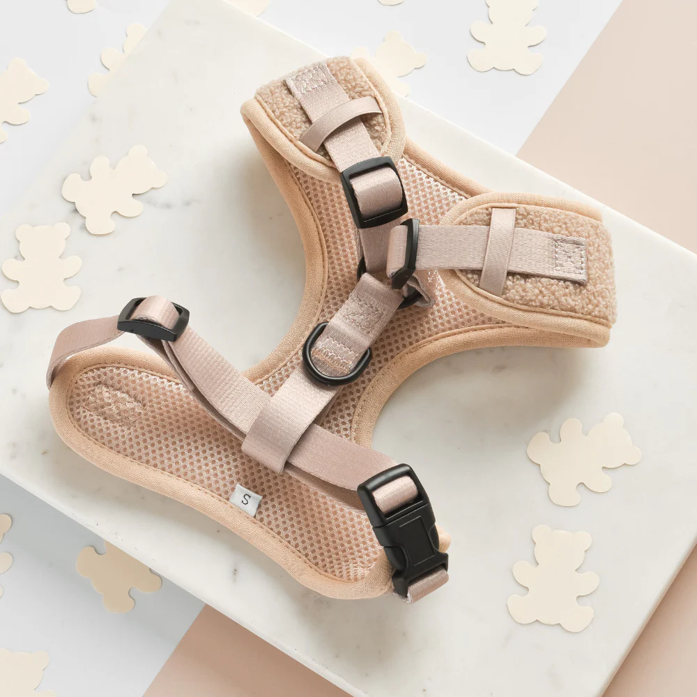 Teddy Adjustable Neck HARNESS - Rupert - Image 4