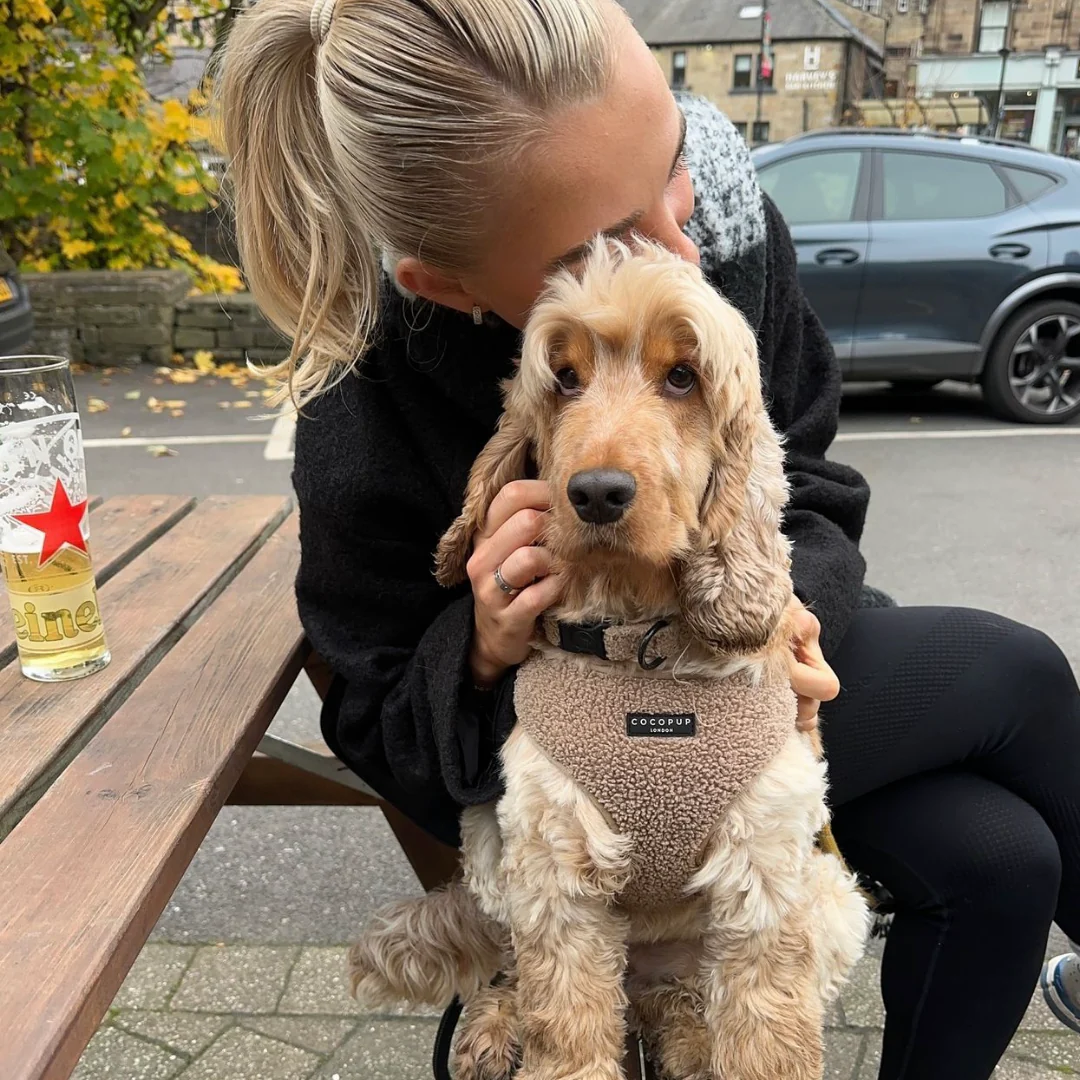 Teddy Adjustable Neck HARNESS - Rupert - Image 60