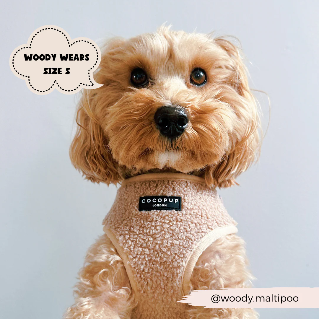 Teddy Adjustable Neck HARNESS - Rupert - Image 7