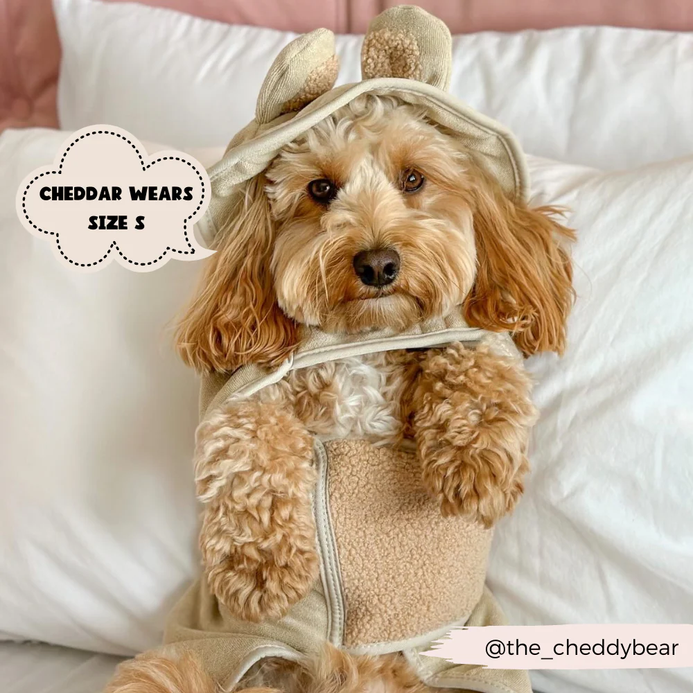 Teddy Drying Robe - Image 15