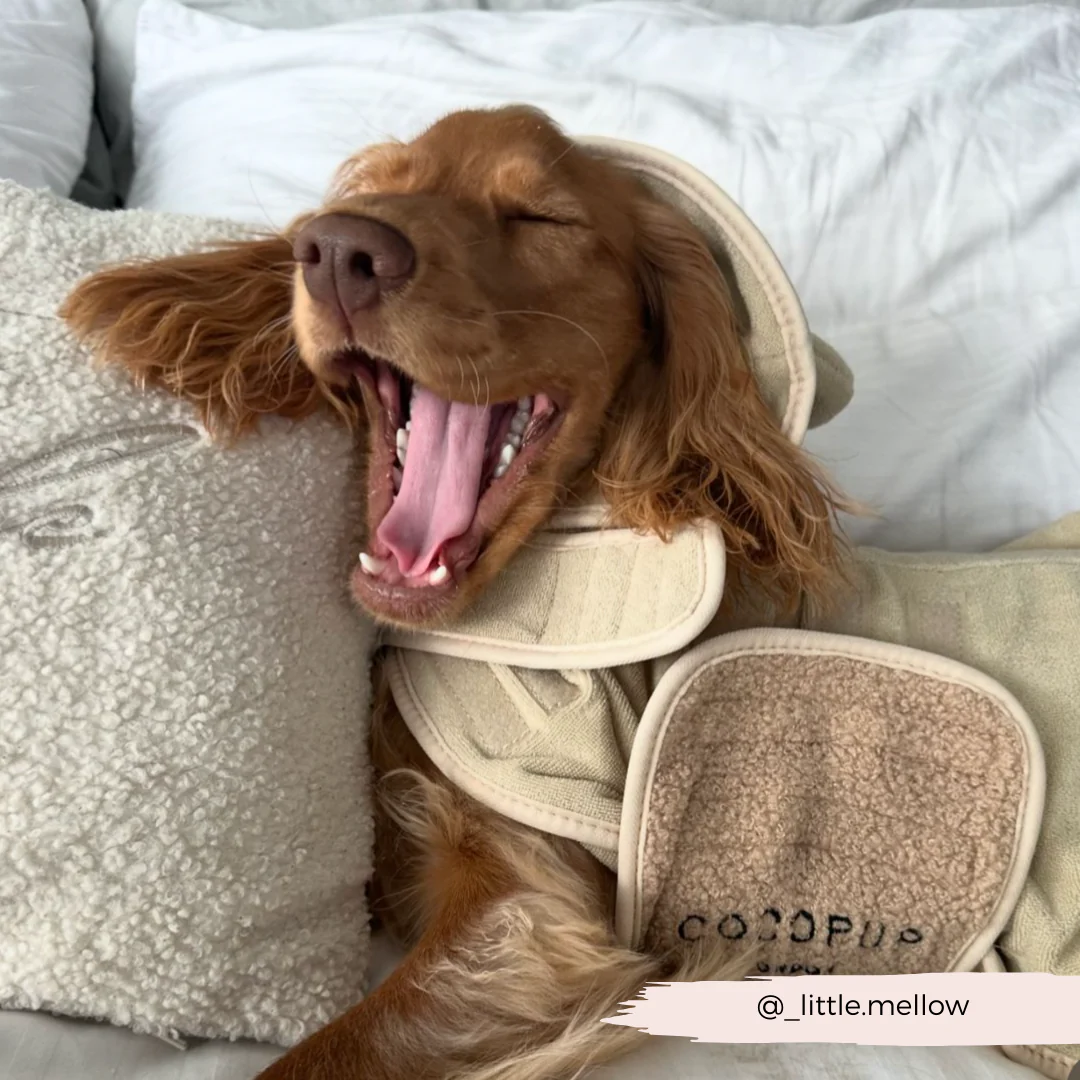 Teddy Drying Robe - Image 18