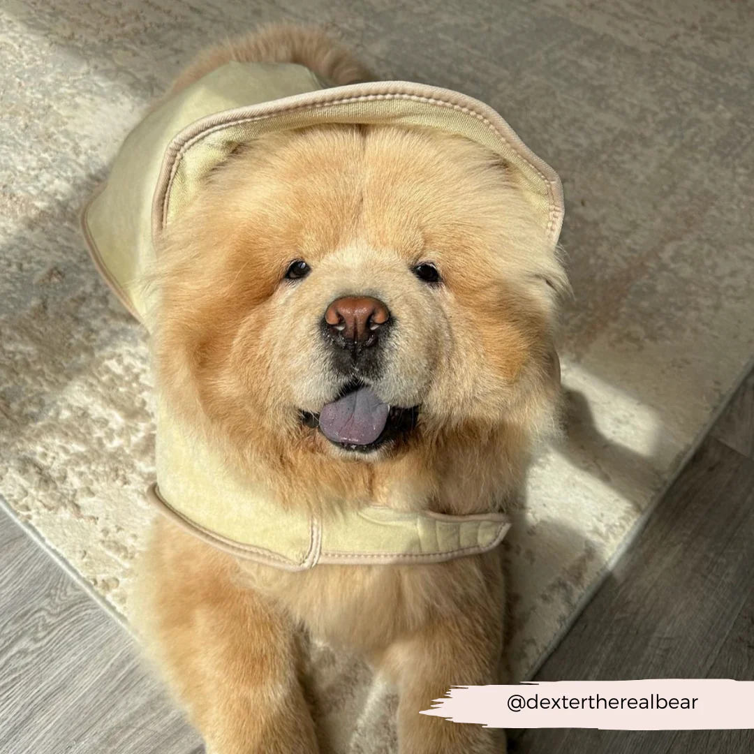 Teddy Drying Robe - Image 19