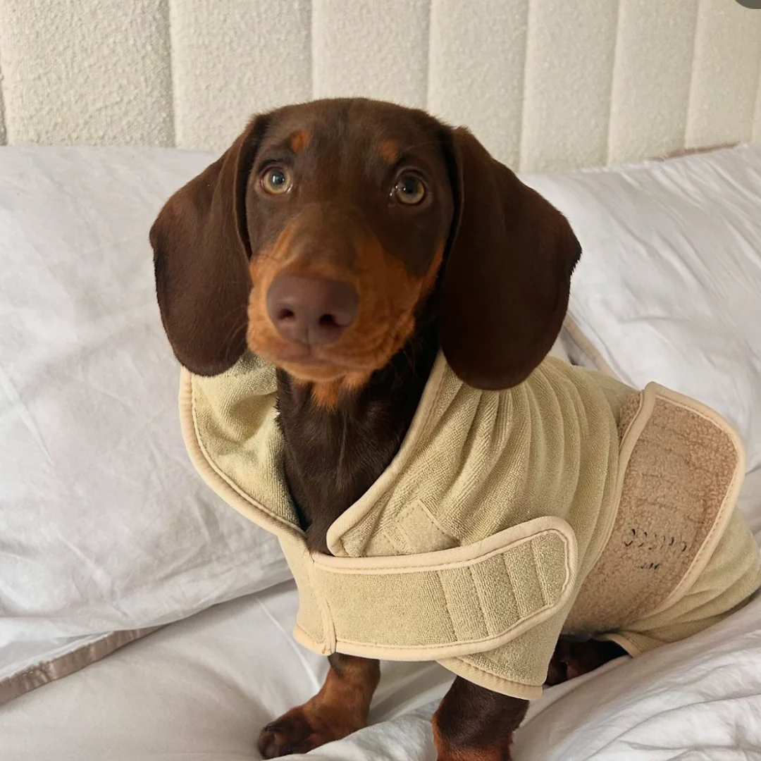 Teddy Drying Robe - Image 20