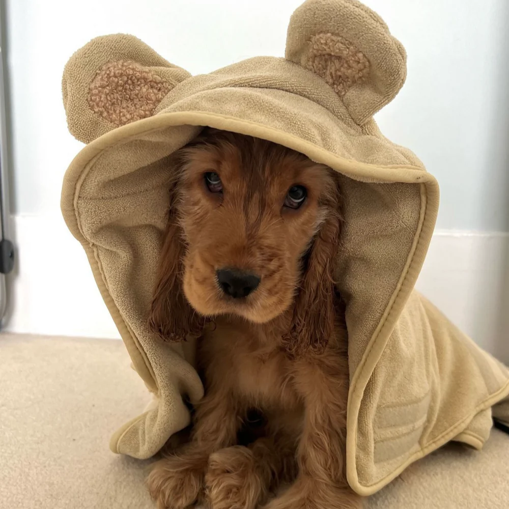 Teddy Drying Robe - Image 21