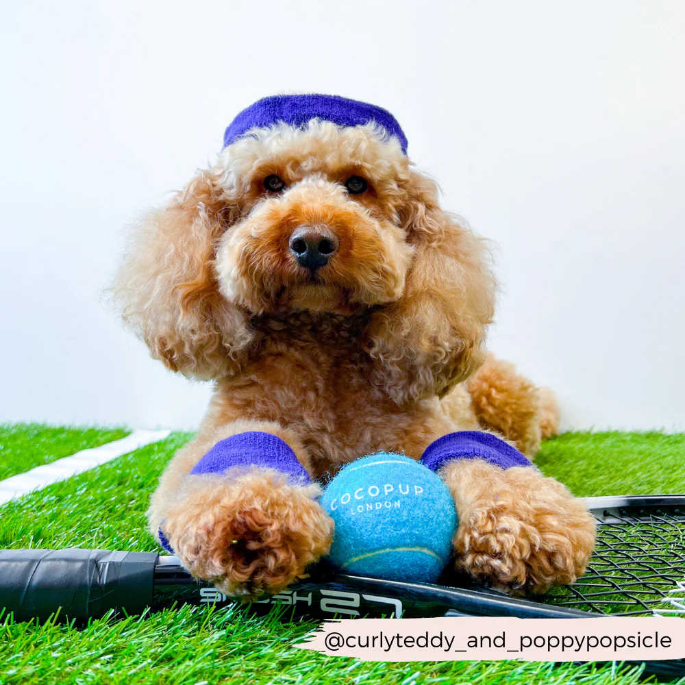 Tennis Ball - Bright Blue - Image 3
