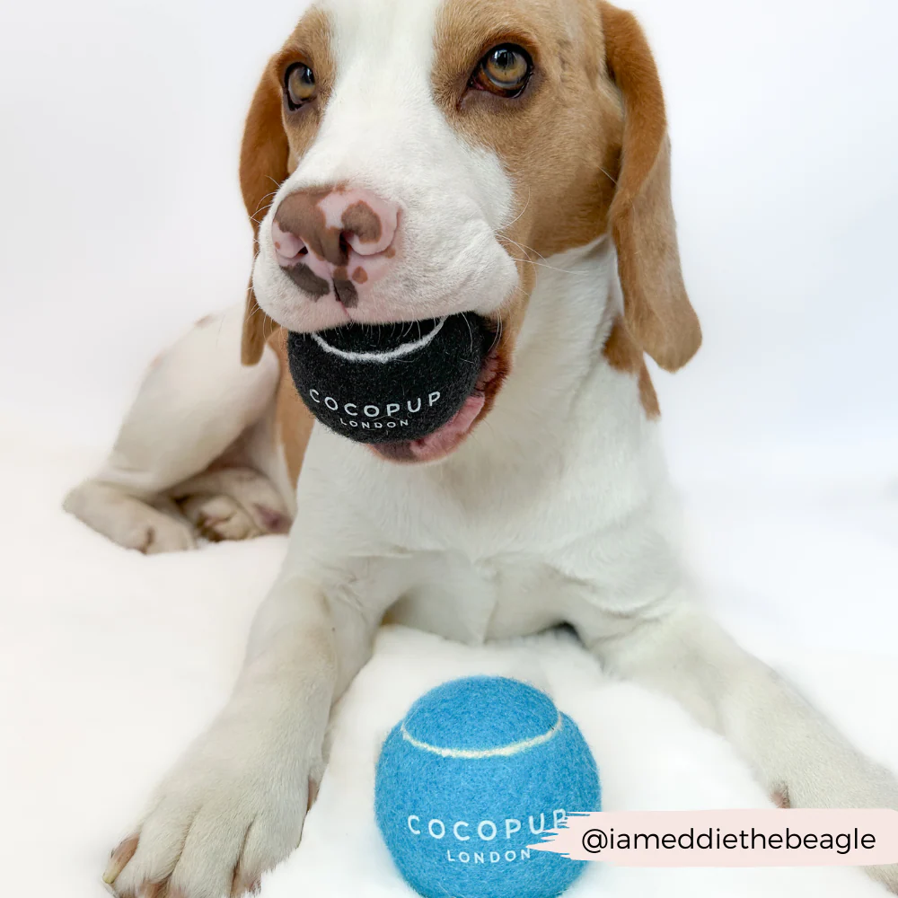 Tennis Ball - Bright Blue - Image 8