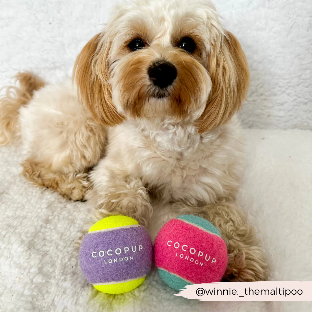 Tennis Ball - Lilac & Yellow - Image 3