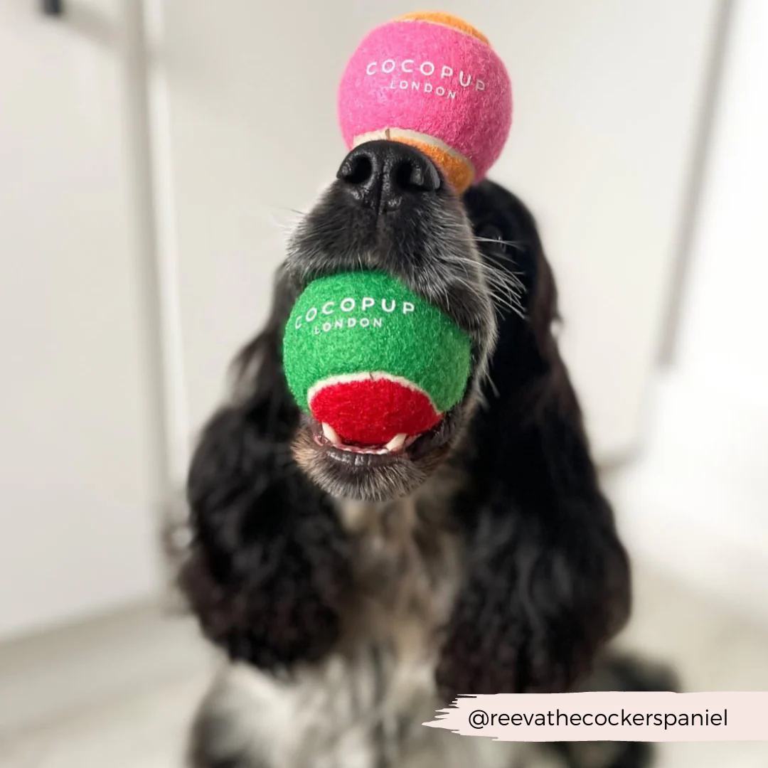 Tennis Ball - Pink & Orange - Image 3