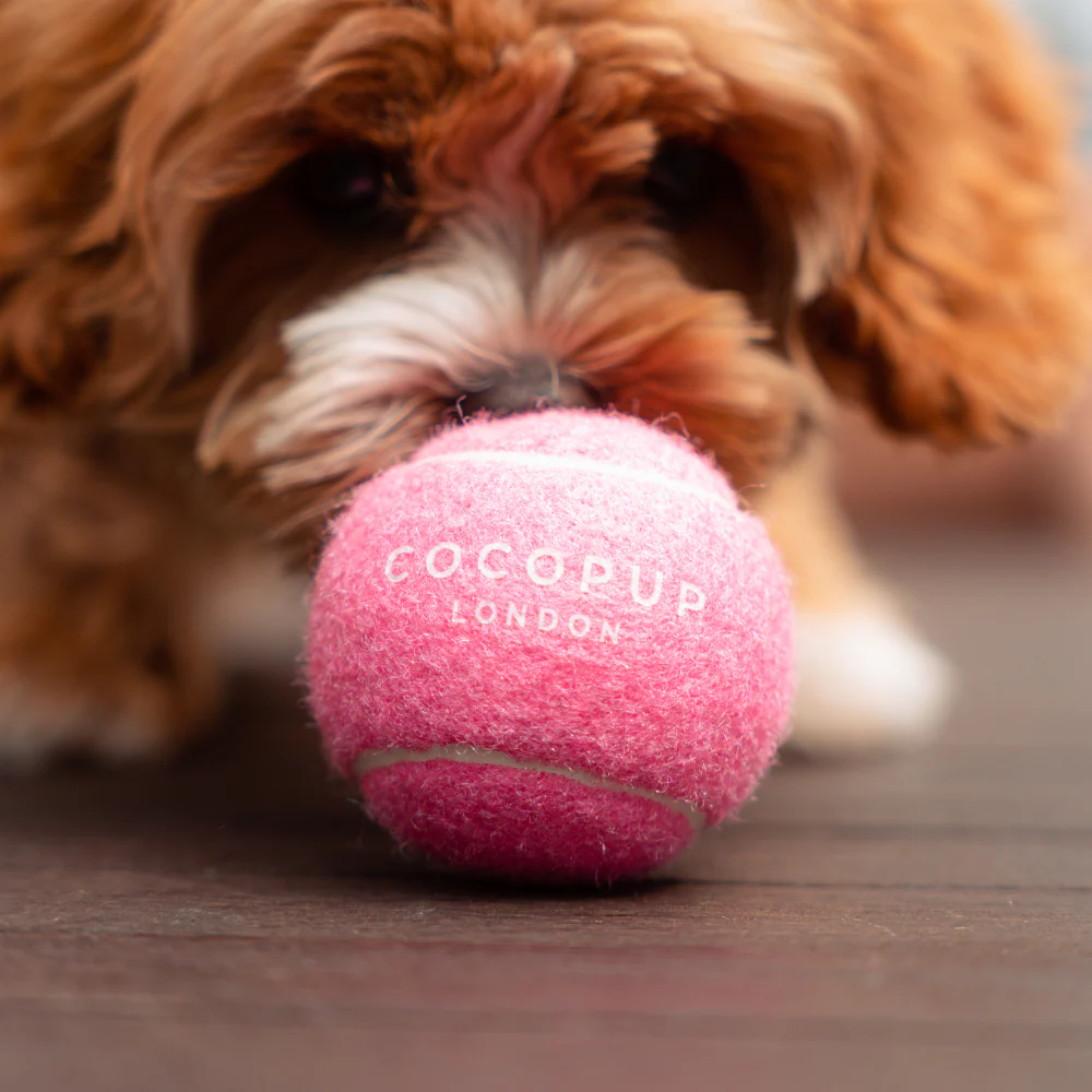 Tennis Ball - Playful Pink - Image 4