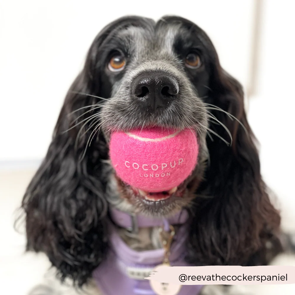 Tennis Ball - Playful Pink - Image 5
