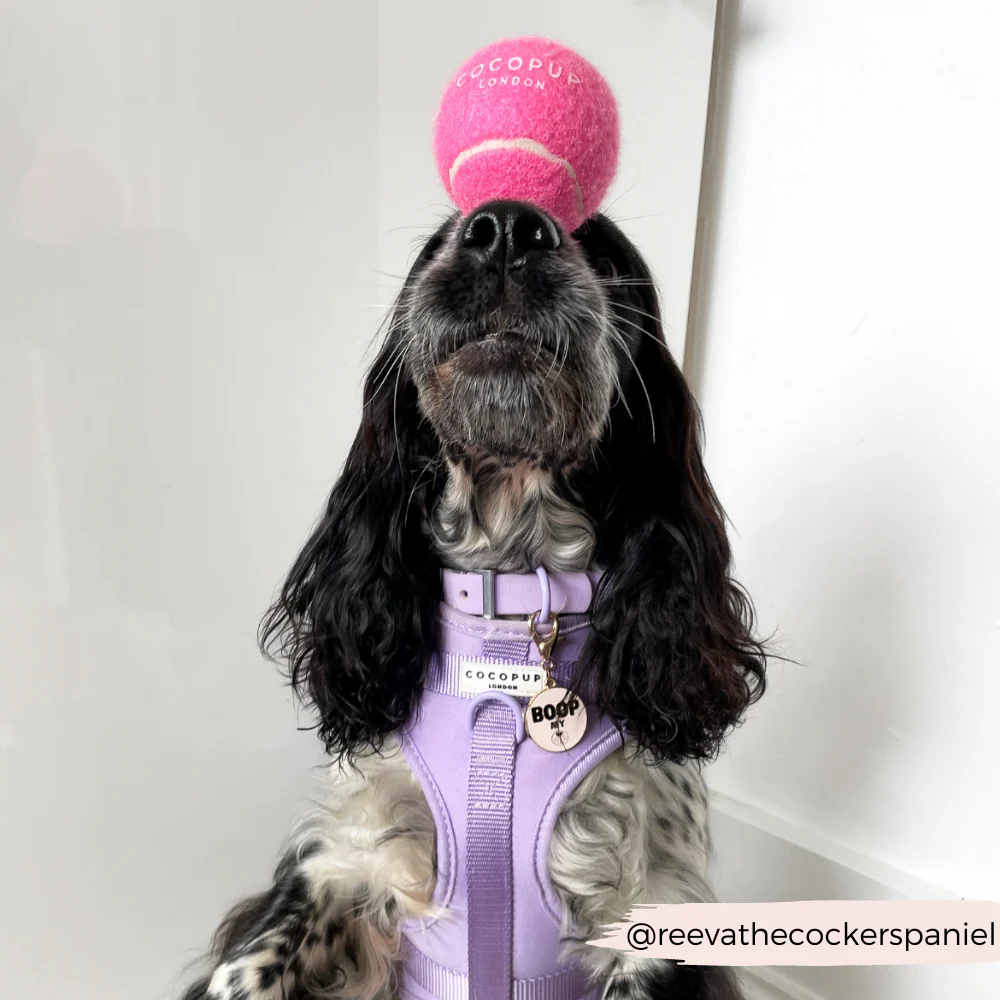 Tennis Ball - Playful Pink - Image 6