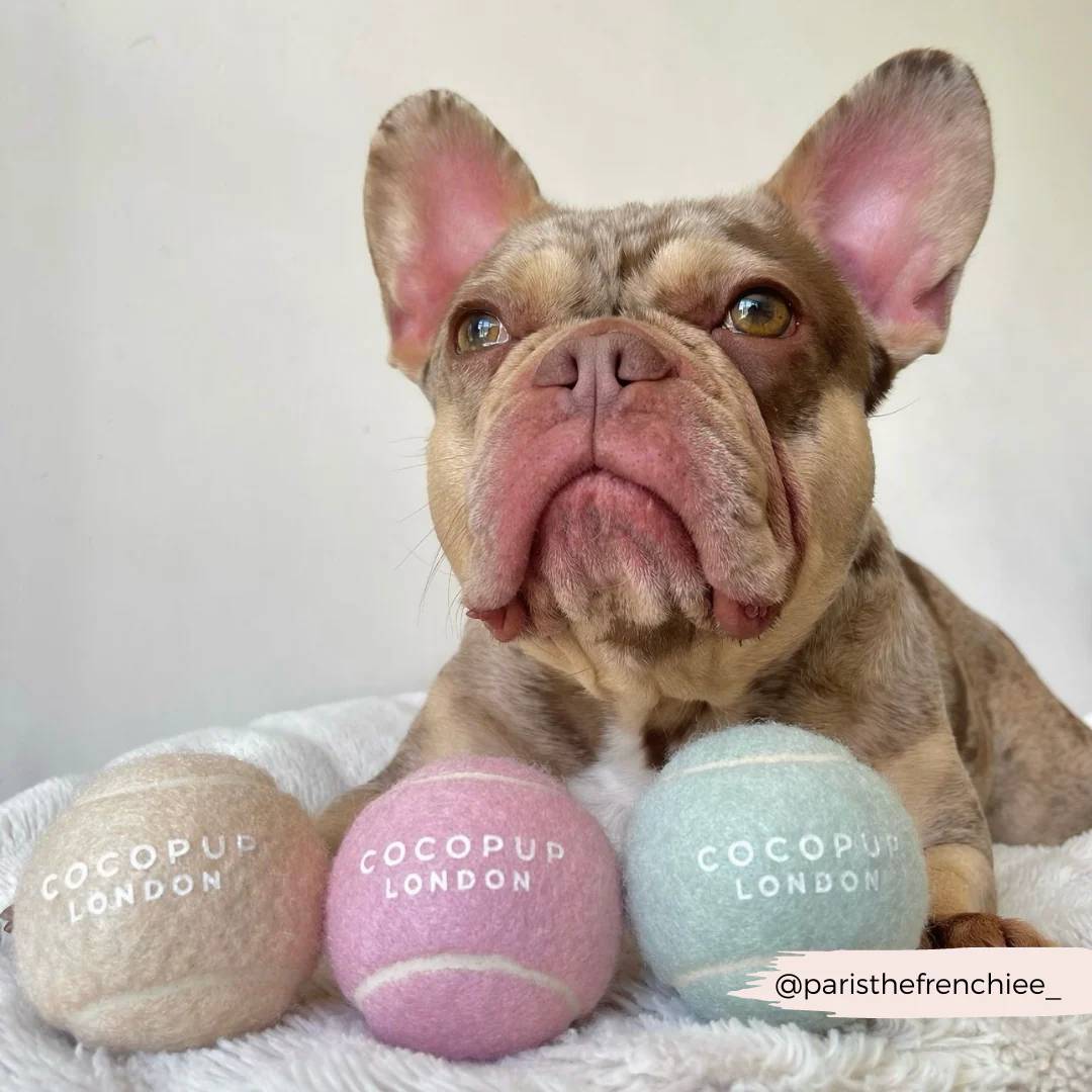 Tennis Ball - Salted Caramel - Image 4