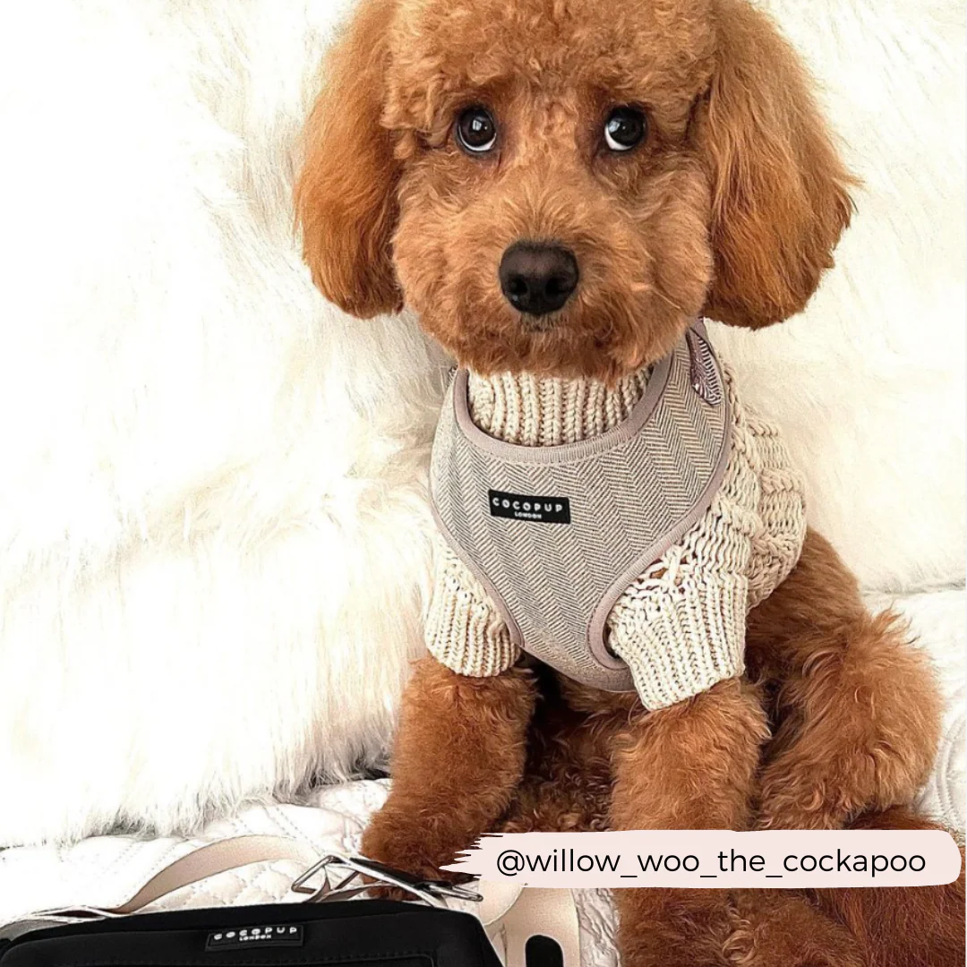 Brown Tweed Adjustable Neck HARNESS - Image 11