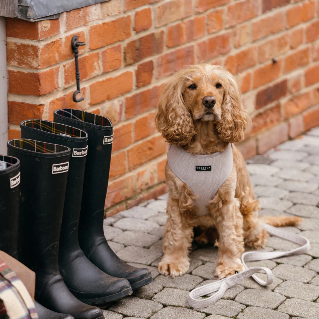 Brown Tweed Adjustable Neck HARNESS - Image 16