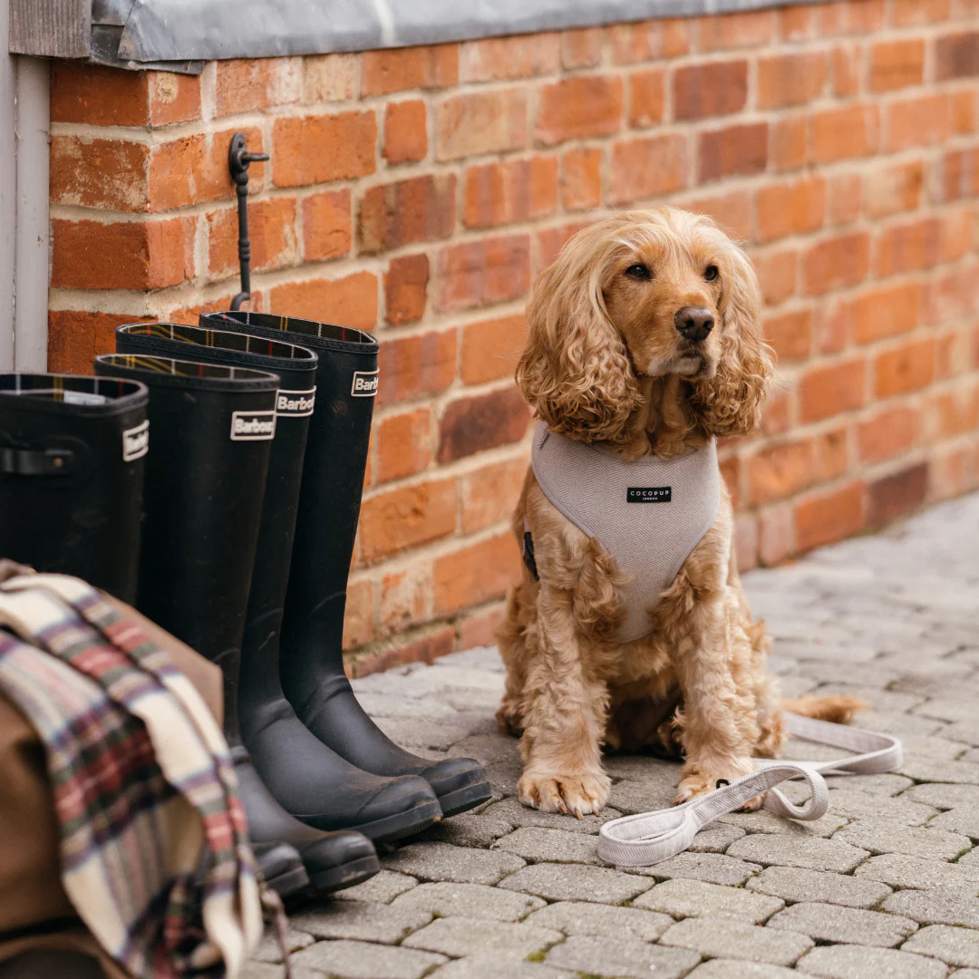 Brown Tweed Adjustable Neck HARNESS - Image 17