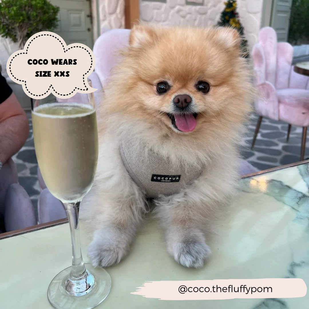 Brown Tweed Adjustable Neck HARNESS - Image 18