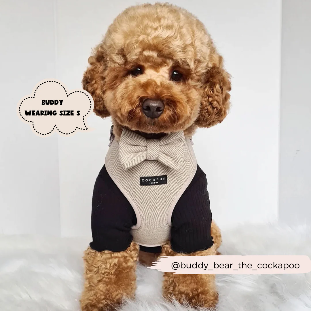 Brown Tweed Adjustable Neck HARNESS - Image 5