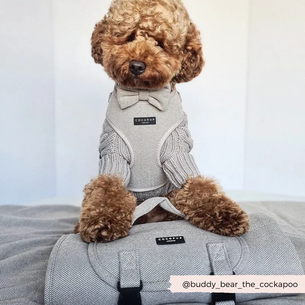 Brown Tweed Adjustable Neck HARNESS - Image 7