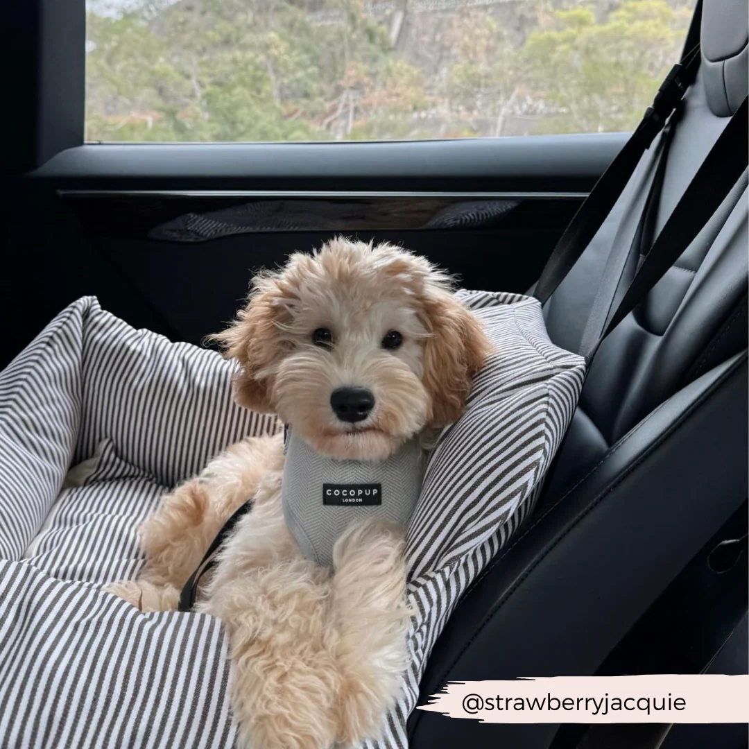 Sage Tweed Adjustable Neck HARNESS - Image 14