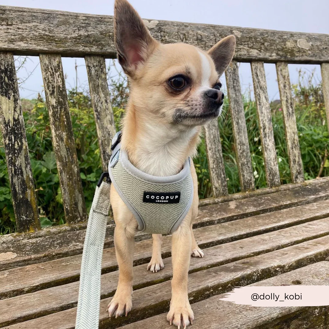 Sage Tweed Adjustable Neck HARNESS - Image 18