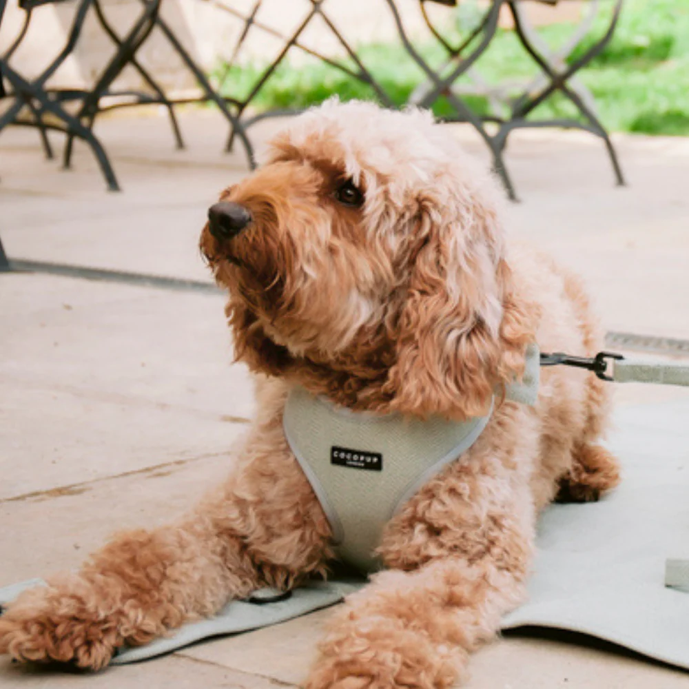 Sage Tweed Adjustable Neck HARNESS - Image 5