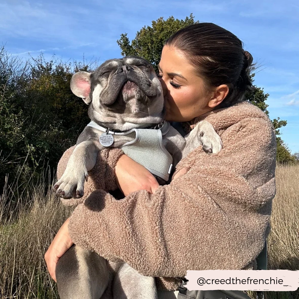 Sage Tweed Adjustable Neck HARNESS - Image 6