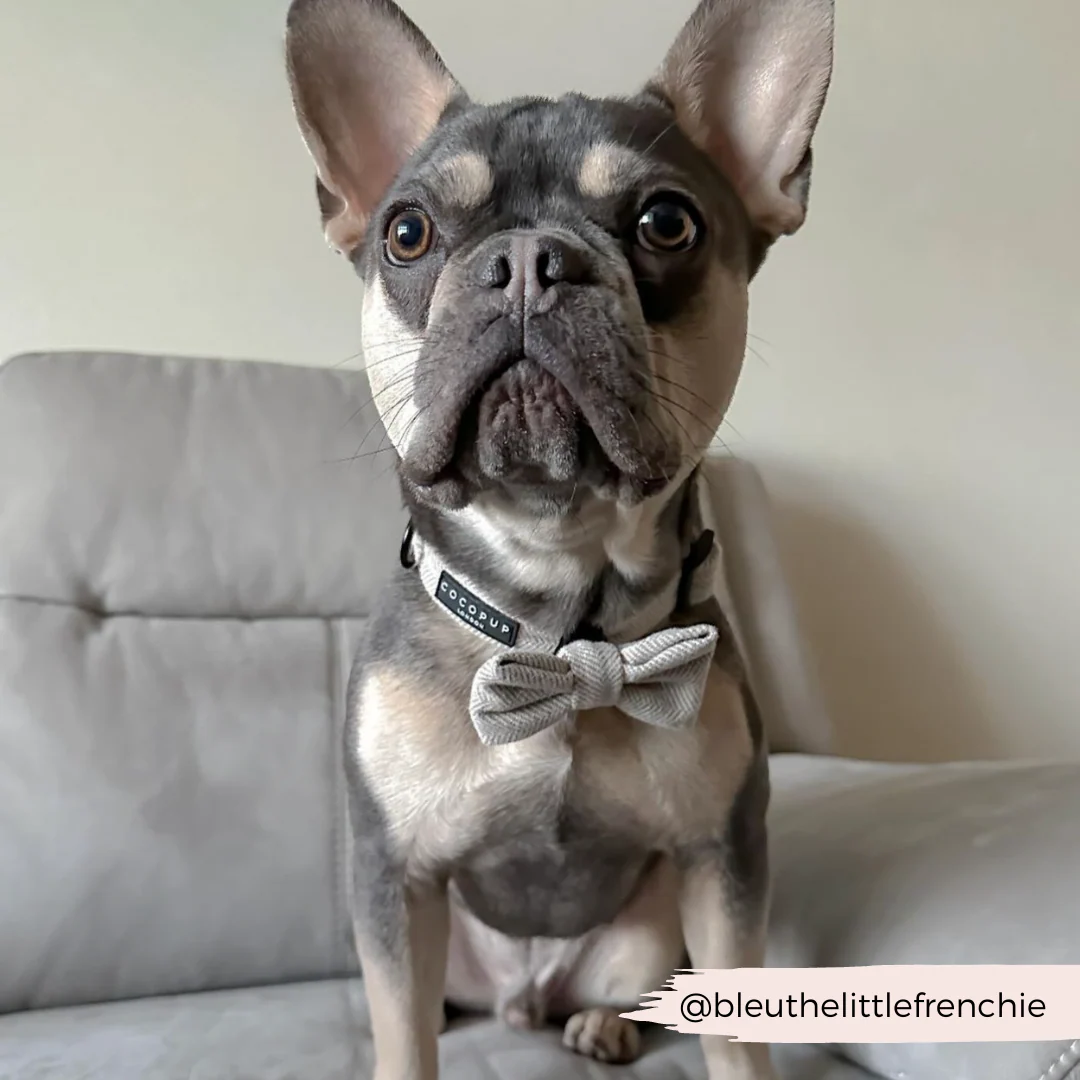 Brown Tweed Bow Tie - Image 8