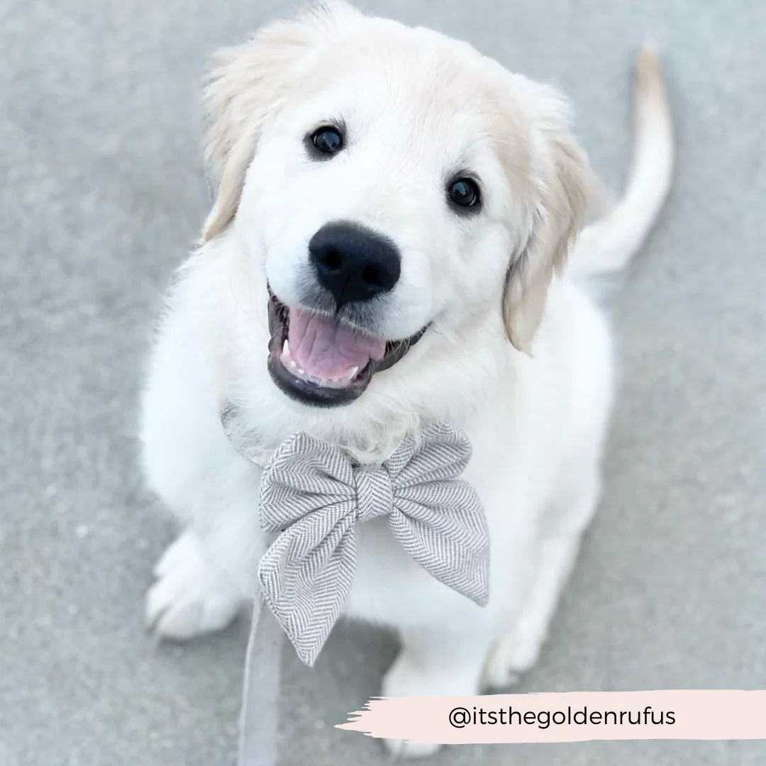 Brown Tweed Sailor Bow Tie - Image 4