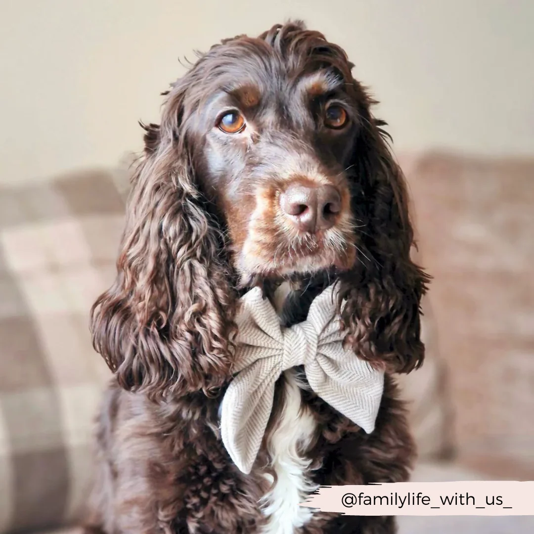 Brown Tweed Sailor Bow Tie - Image 5