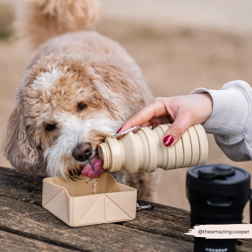 Foldable Travel Bowl - Nude - Image 8